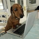 🚨OFERTAS ESPECIAIS 9🚨