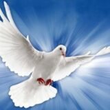 ❤️🙏 ESPÍRITO SANTO🙏❤️