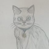 Pingosa 尺乇ᐯㄖㄥㄩㄒ丨ㄖ几丂