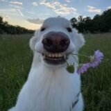 𝚏𝚛𝚒𝚎𝚗𝚍𝚜 𝚘𝚛 𝚕𝚘𝚟𝚎? 🤪