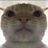 Grupo de amizade e diversão 👍❤️