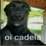 😂😂🔞Memes e zuera 🔞😂😂