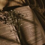 Amantes de Poemas e Poesias 📜