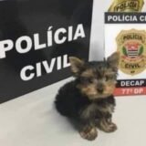 🔥🥸__𝔉𝔲𝔤𝔦𝔱𝔦𝔳𝔬𝔰 𝔇𝔬 ℭ𝔞𝔭𝔰__🥸🔥