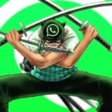 sonic verde whatsapp 3