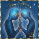 Evolução de alma gêmea e chama gêmea e relação cármica