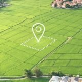 Forum dos Loteadores